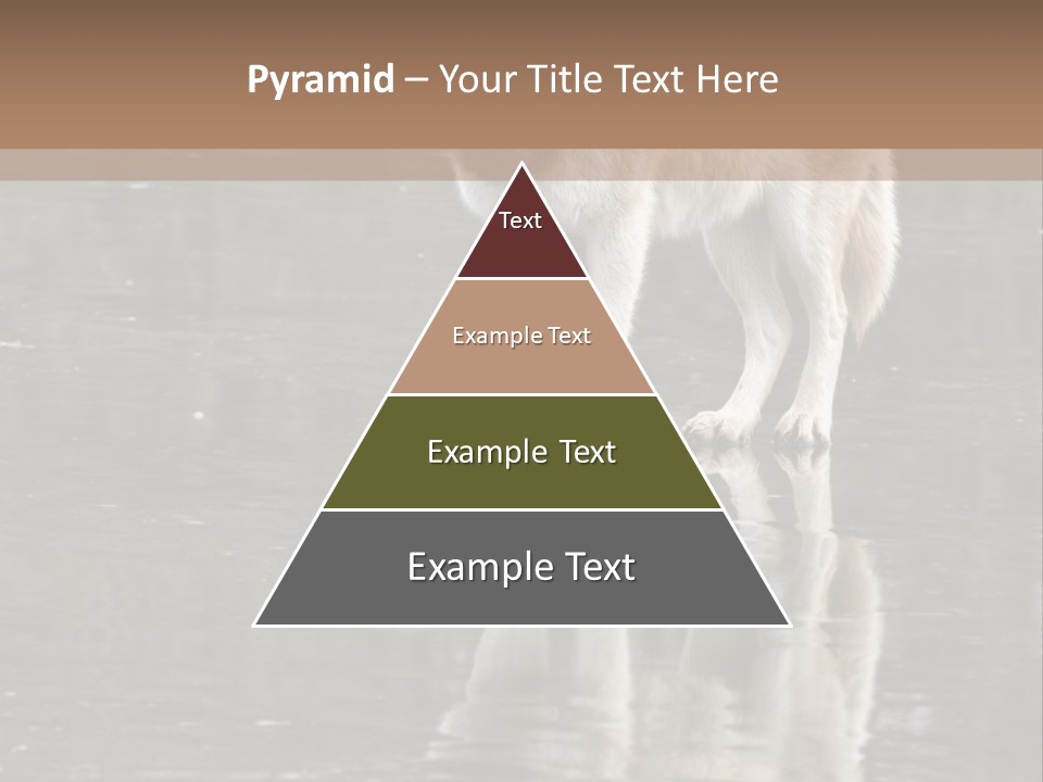 Gray Canine Danger PowerPoint Template