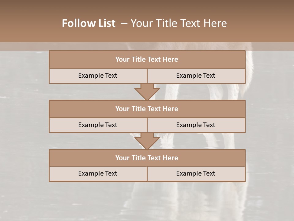 Gray Canine Danger PowerPoint Template