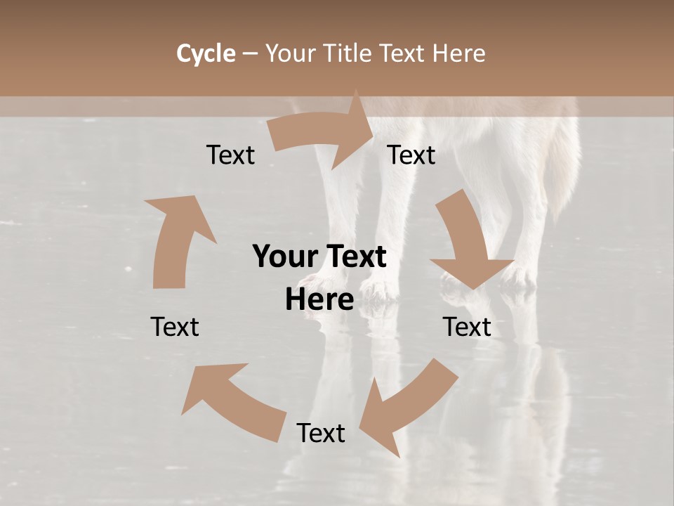 Gray Canine Danger PowerPoint Template