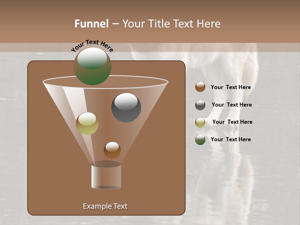 Gray Canine Danger PowerPoint Template