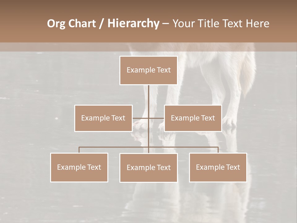Gray Canine Danger PowerPoint Template