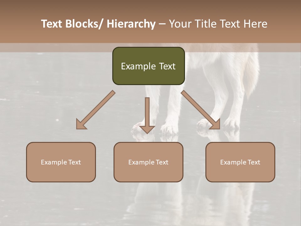 Gray Canine Danger PowerPoint Template
