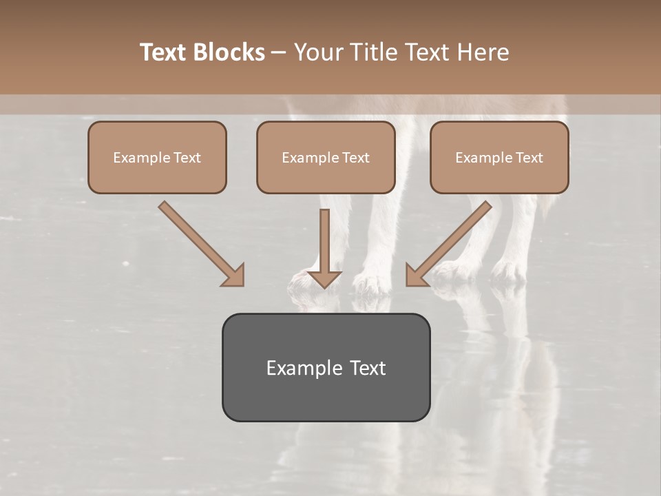 Gray Canine Danger PowerPoint Template