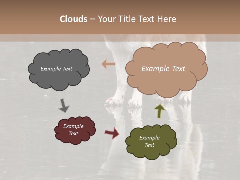 Gray Canine Danger PowerPoint Template