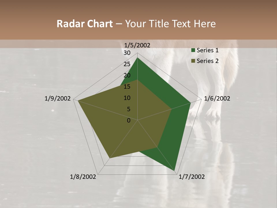 Gray Canine Danger PowerPoint Template