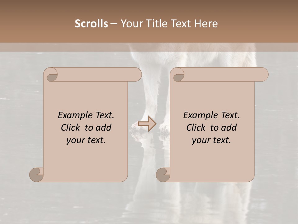 Gray Canine Danger PowerPoint Template