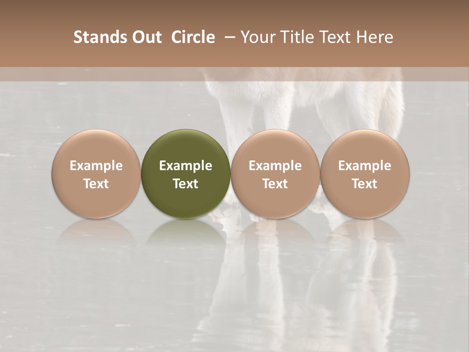 Gray Canine Danger PowerPoint Template