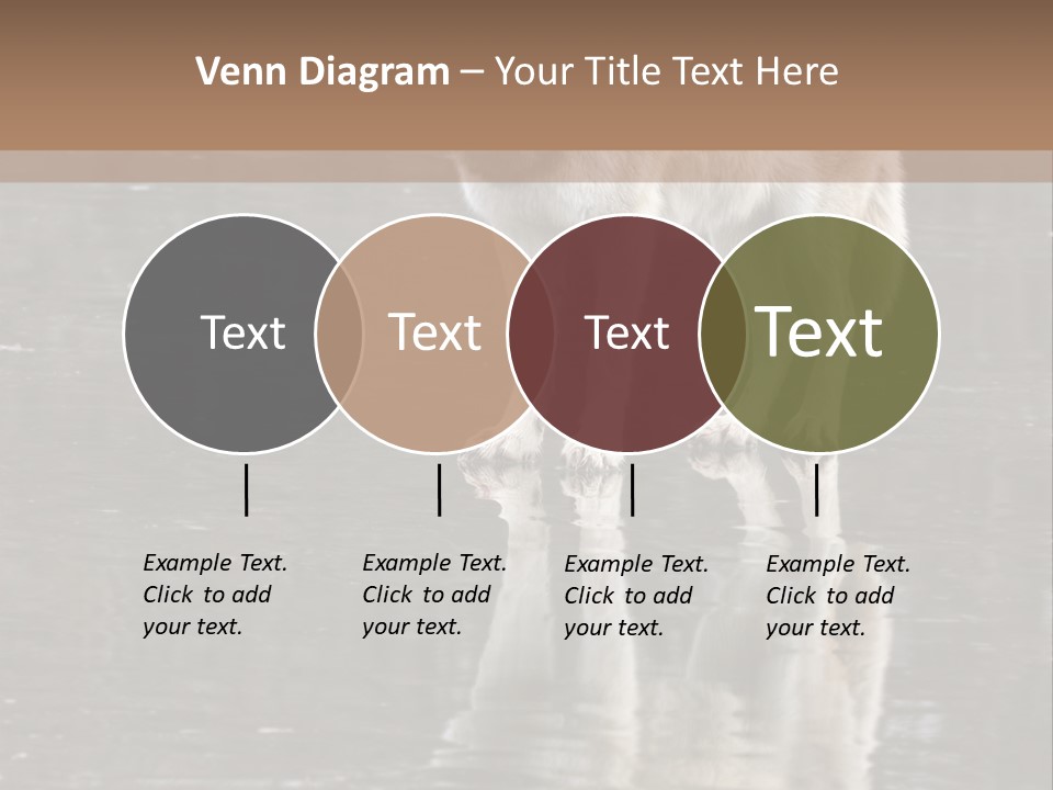 Gray Canine Danger PowerPoint Template