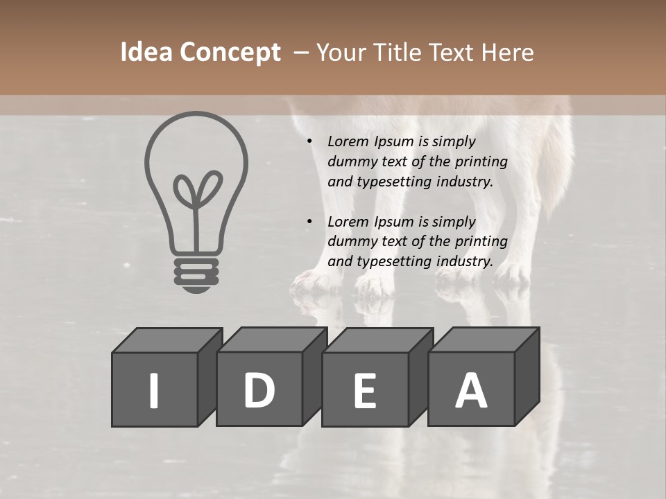 Gray Canine Danger PowerPoint Template