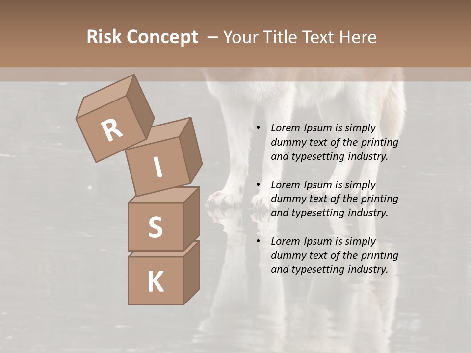 Gray Canine Danger PowerPoint Template