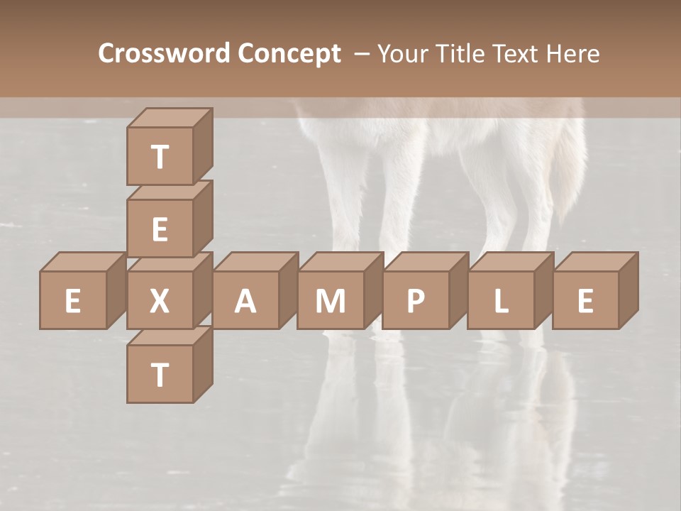 Gray Canine Danger PowerPoint Template