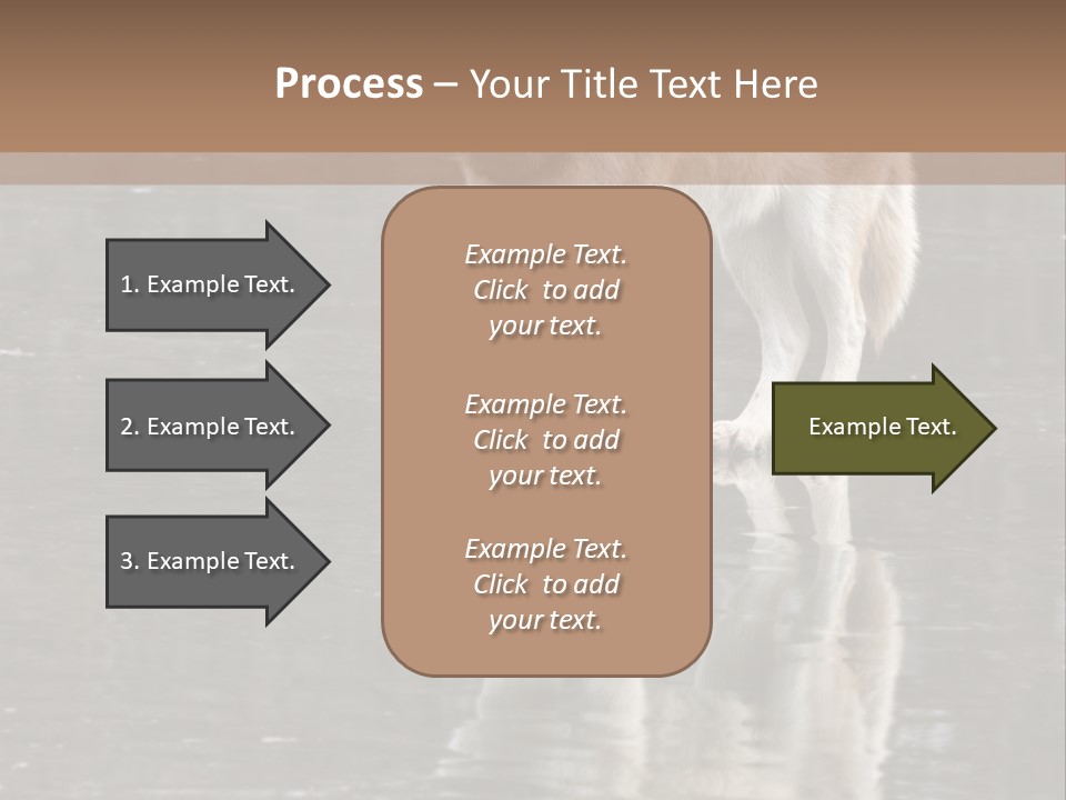 Gray Canine Danger PowerPoint Template