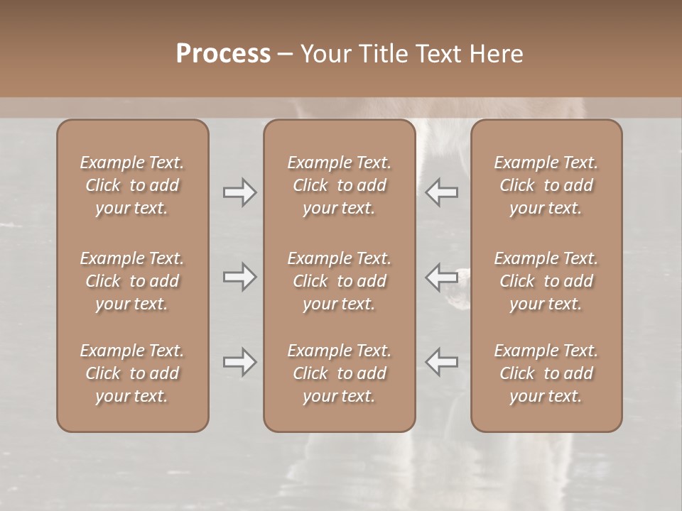 Gray Canine Danger PowerPoint Template