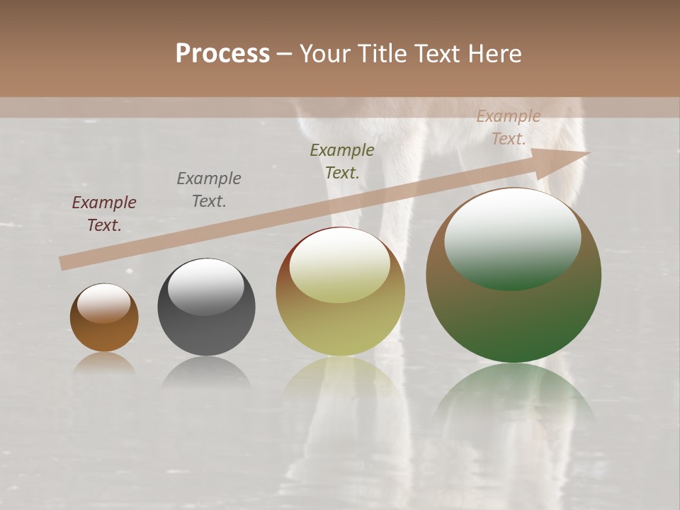 Gray Canine Danger PowerPoint Template