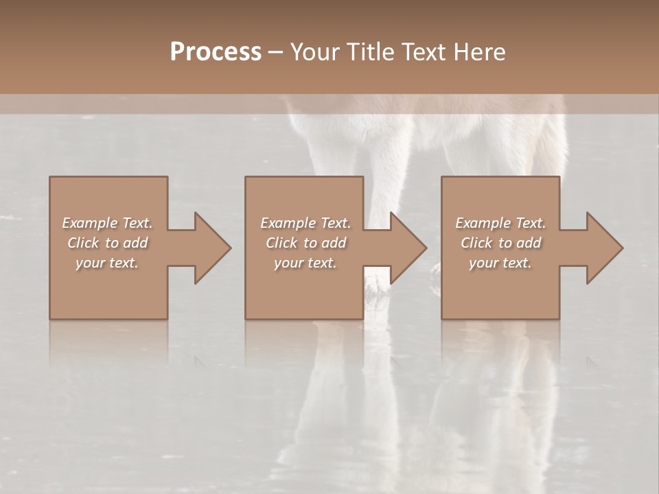 Gray Canine Danger PowerPoint Template