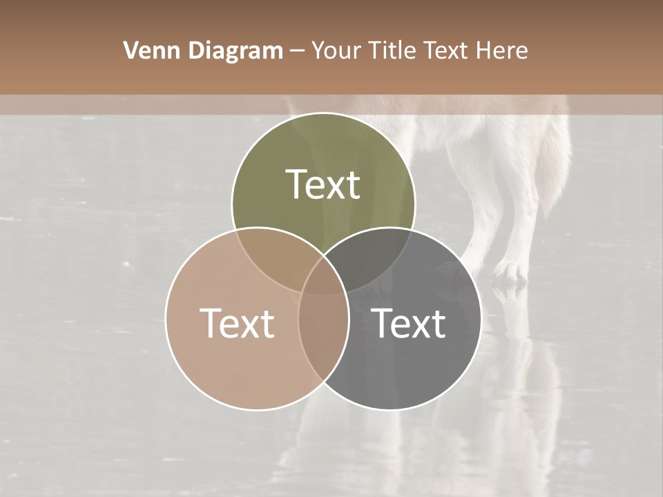 Gray Canine Danger PowerPoint Template