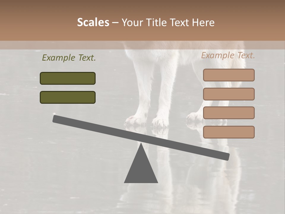 Gray Canine Danger PowerPoint Template