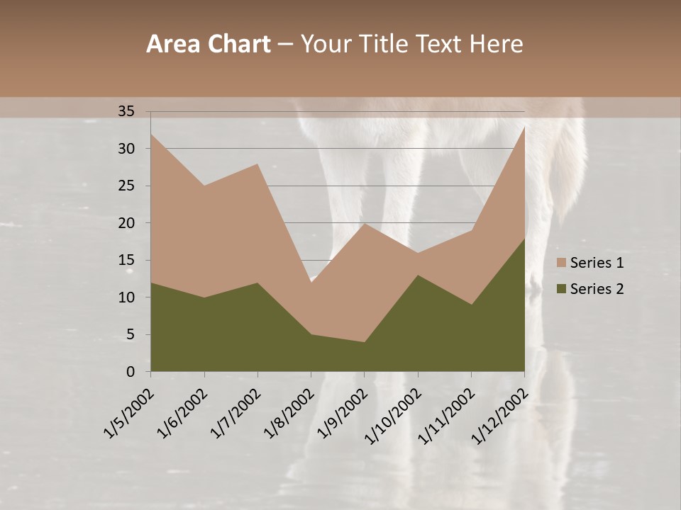 Gray Canine Danger PowerPoint Template