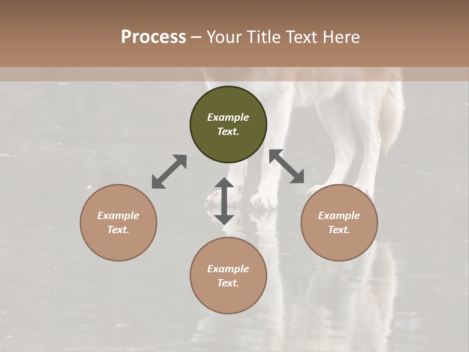 Gray Canine Danger PowerPoint Template