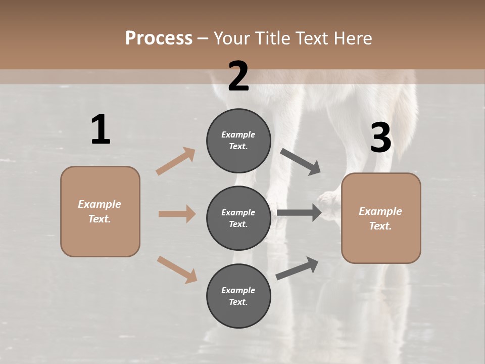 Gray Canine Danger PowerPoint Template