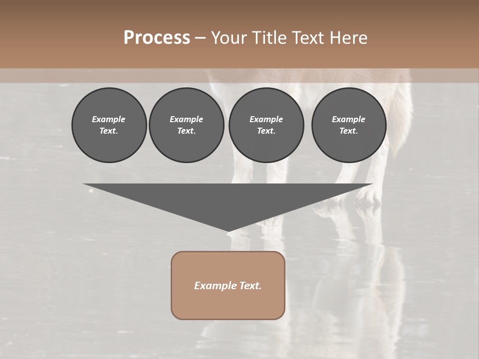 Gray Canine Danger PowerPoint Template