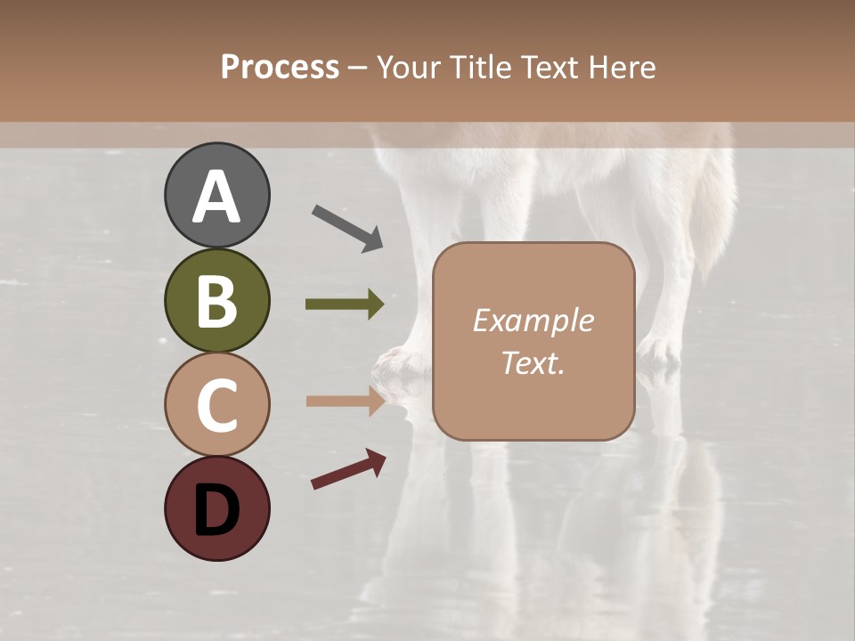 Gray Canine Danger PowerPoint Template