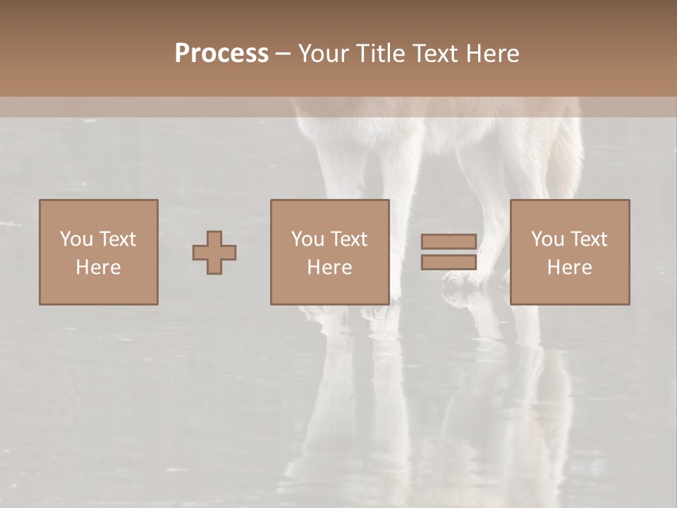 Gray Canine Danger PowerPoint Template