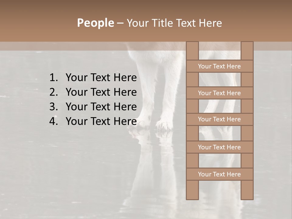 Gray Canine Danger PowerPoint Template