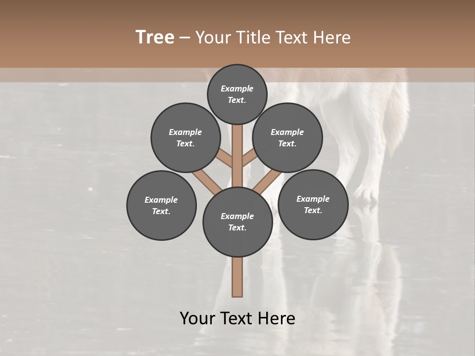 Gray Canine Danger PowerPoint Template