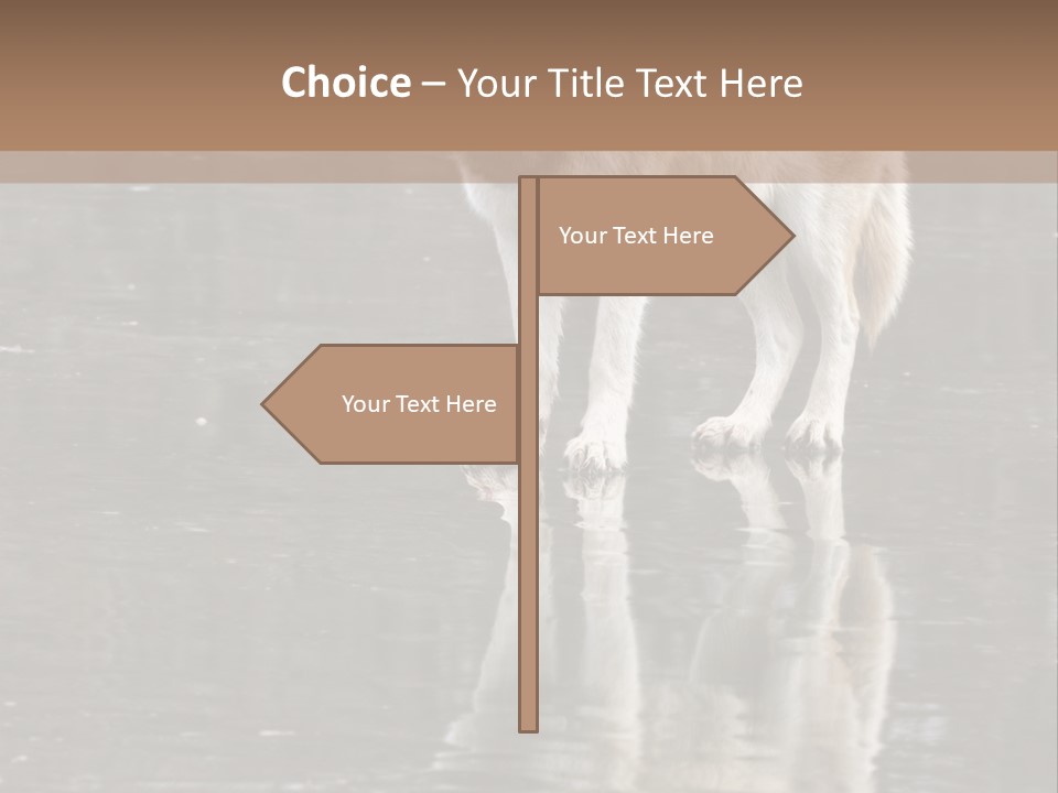 Gray Canine Danger PowerPoint Template