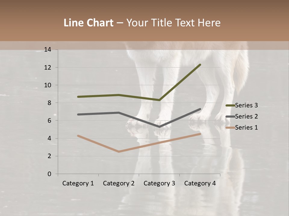 Gray Canine Danger PowerPoint Template