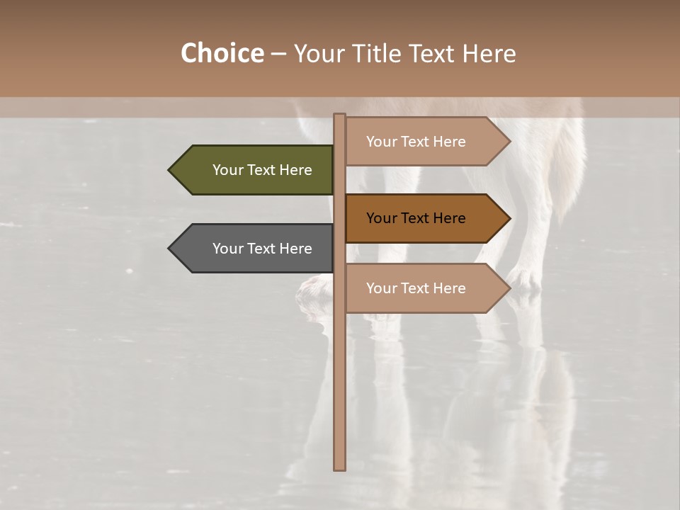 Gray Canine Danger PowerPoint Template