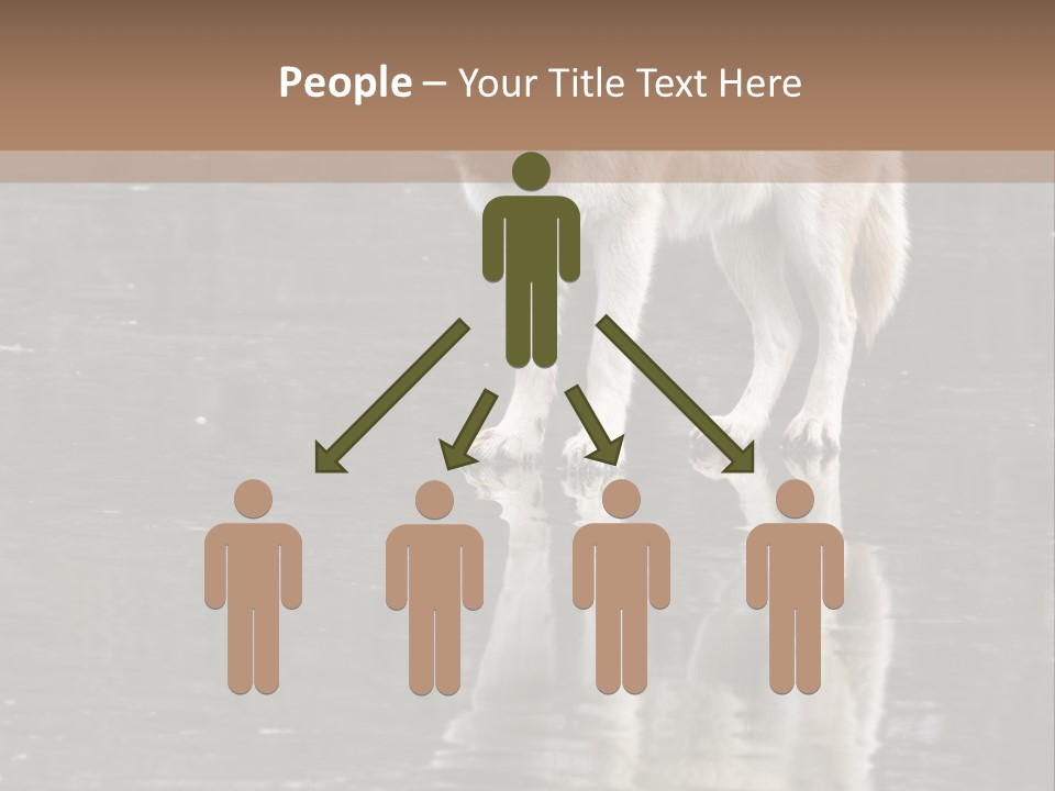 Gray Canine Danger PowerPoint Template