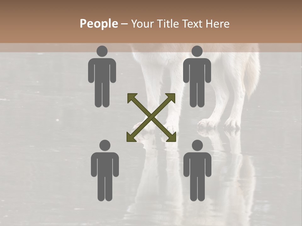 Gray Canine Danger PowerPoint Template