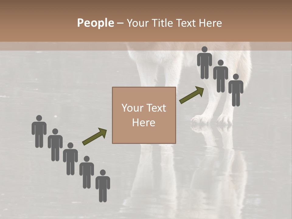 Gray Canine Danger PowerPoint Template