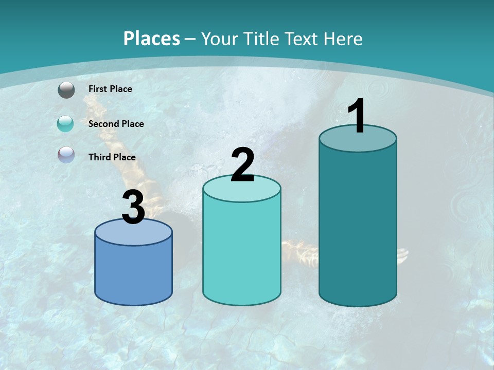 Studio Breed Terrier PowerPoint Template