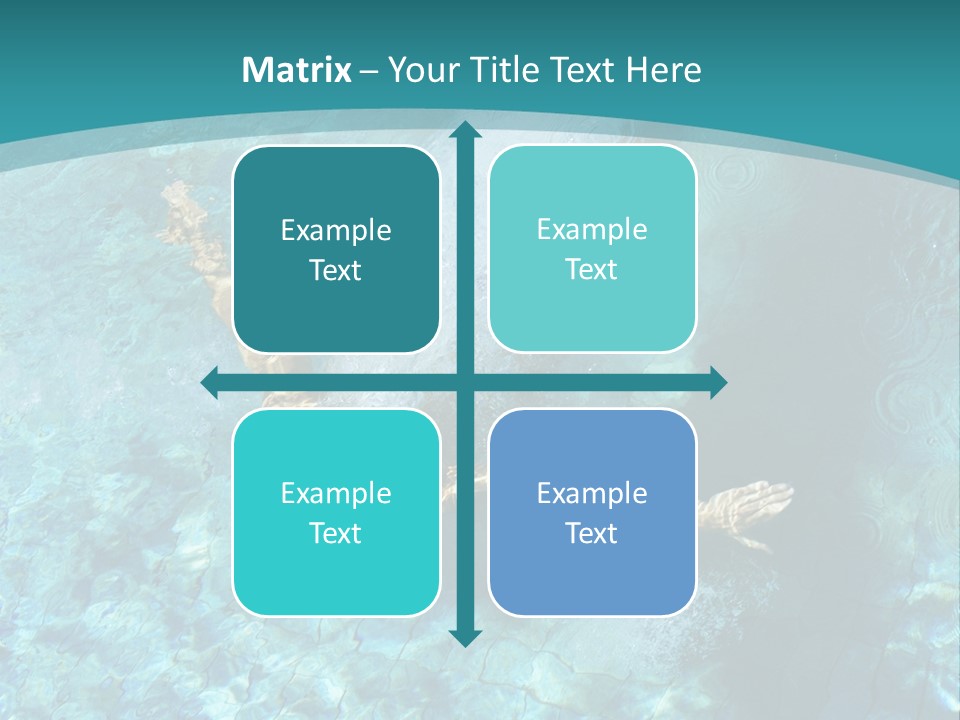 Studio Breed Terrier PowerPoint Template