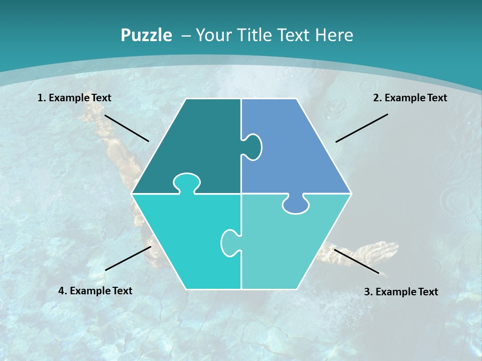 Studio Breed Terrier PowerPoint Template