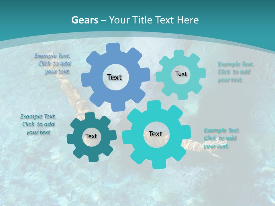 Studio Breed Terrier PowerPoint Template