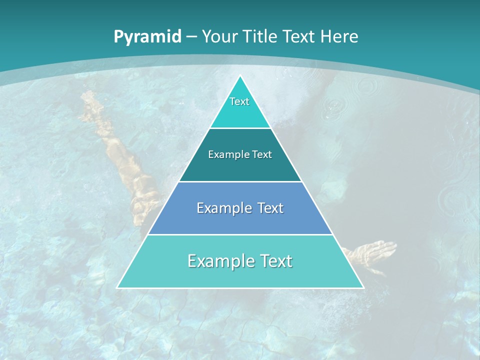 Studio Breed Terrier PowerPoint Template