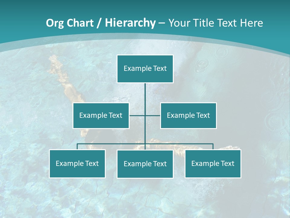 Studio Breed Terrier PowerPoint Template