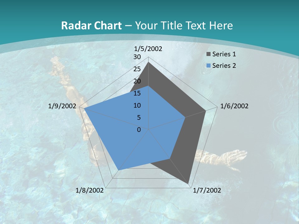 Studio Breed Terrier PowerPoint Template