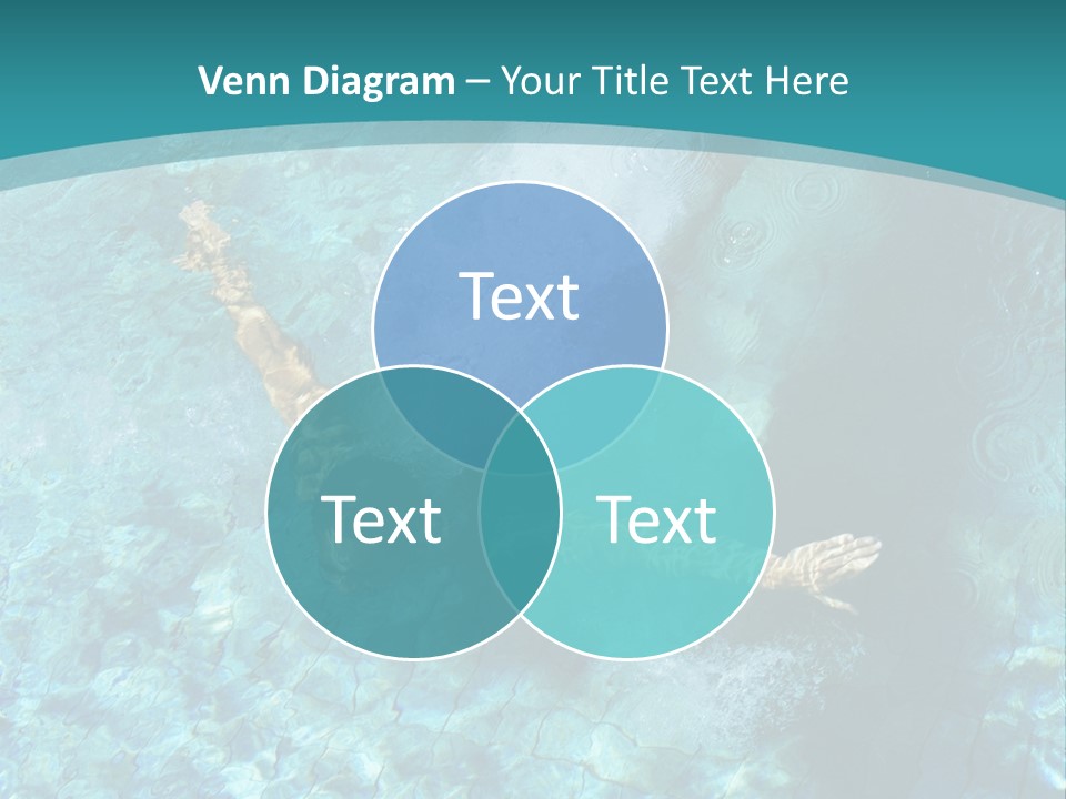 Studio Breed Terrier PowerPoint Template