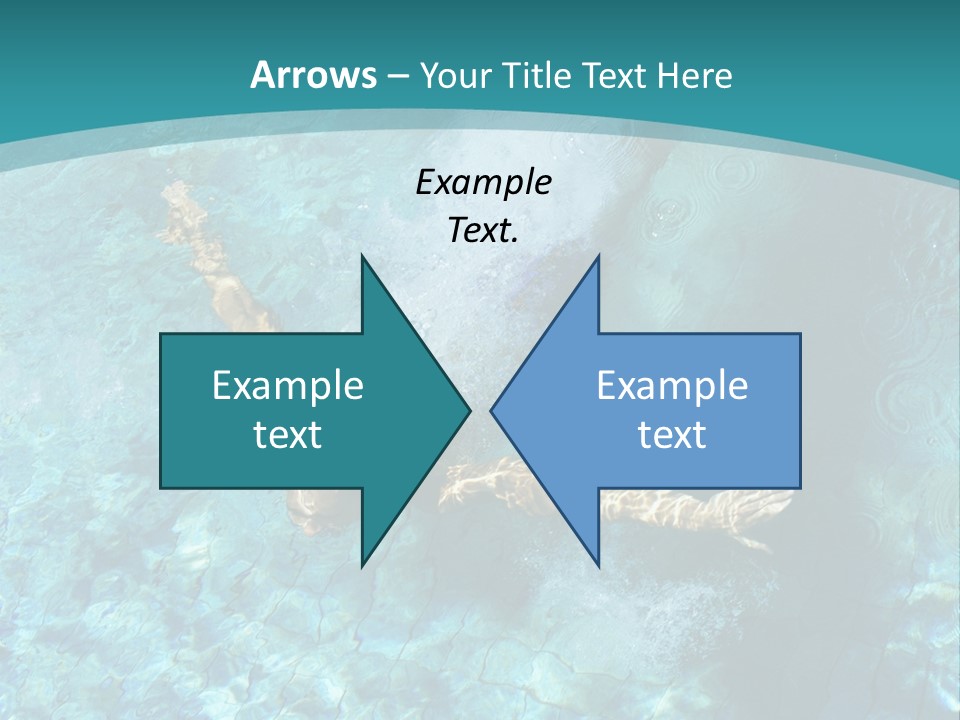 Studio Breed Terrier PowerPoint Template