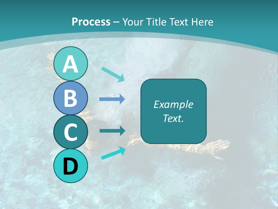 Studio Breed Terrier PowerPoint Template