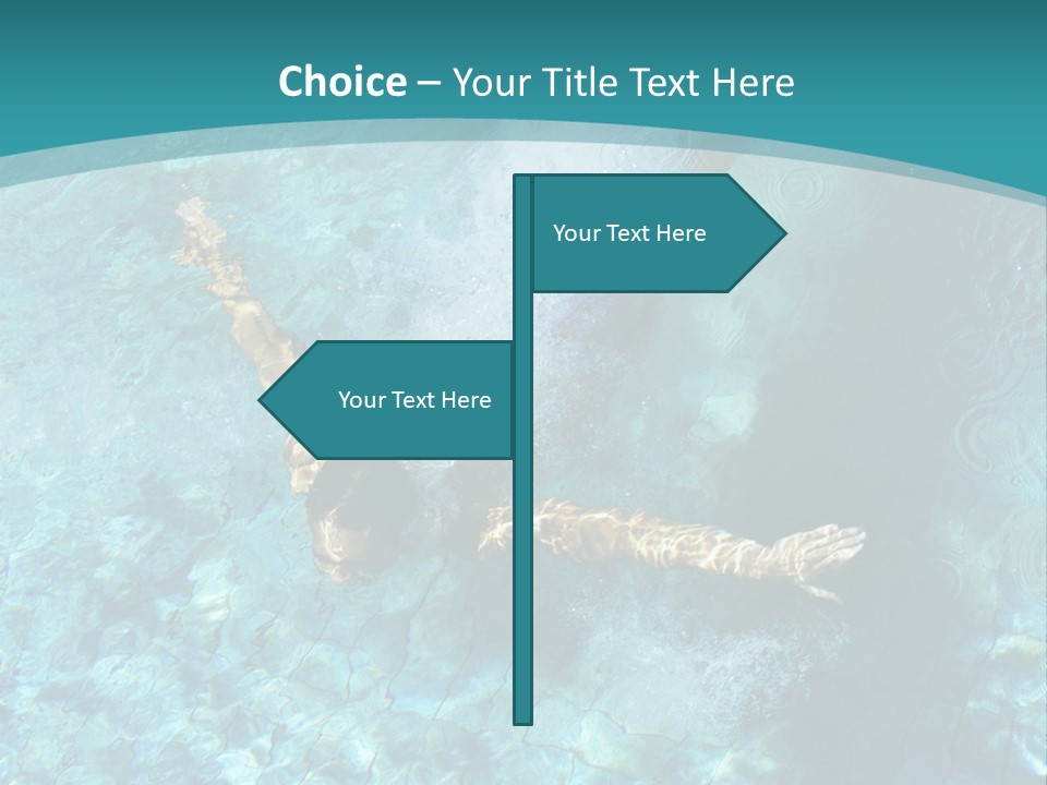 Studio Breed Terrier PowerPoint Template