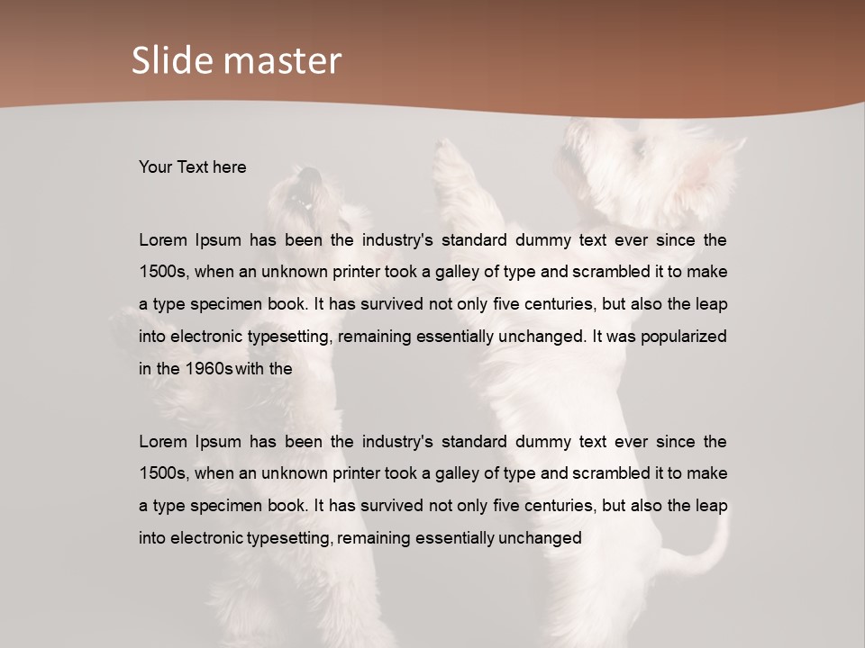 Studio Breed Terrier PowerPoint Template