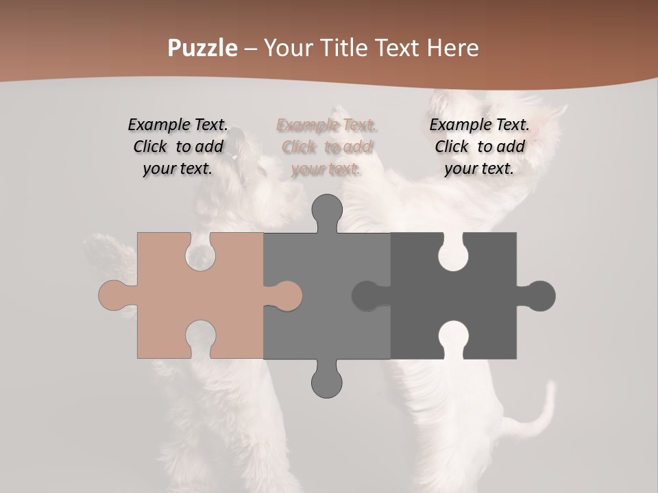 Studio Breed Terrier PowerPoint Template