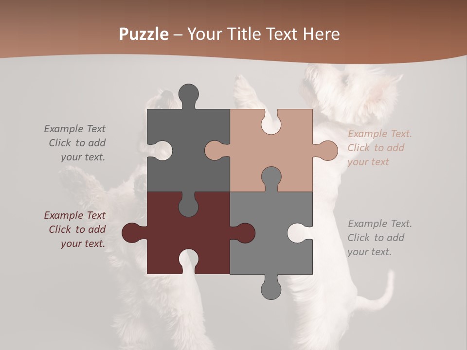 Studio Breed Terrier PowerPoint Template