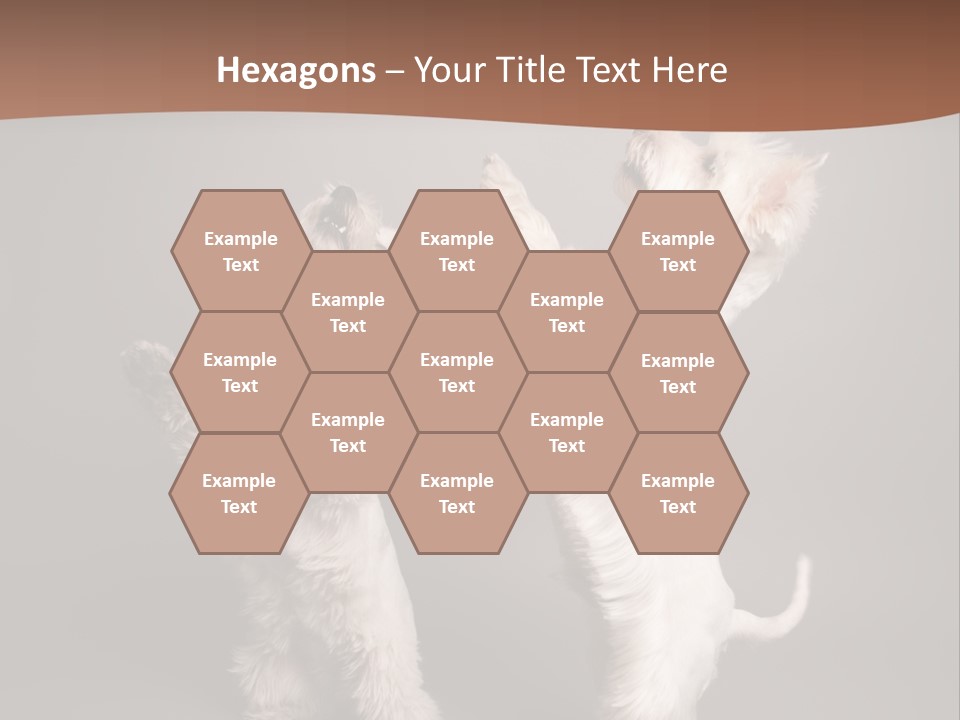 Studio Breed Terrier PowerPoint Template